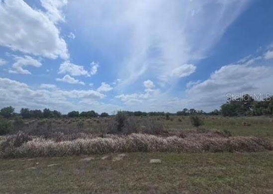 0 0 ARTIFACT DR, ZEPHYRHILLS, FL