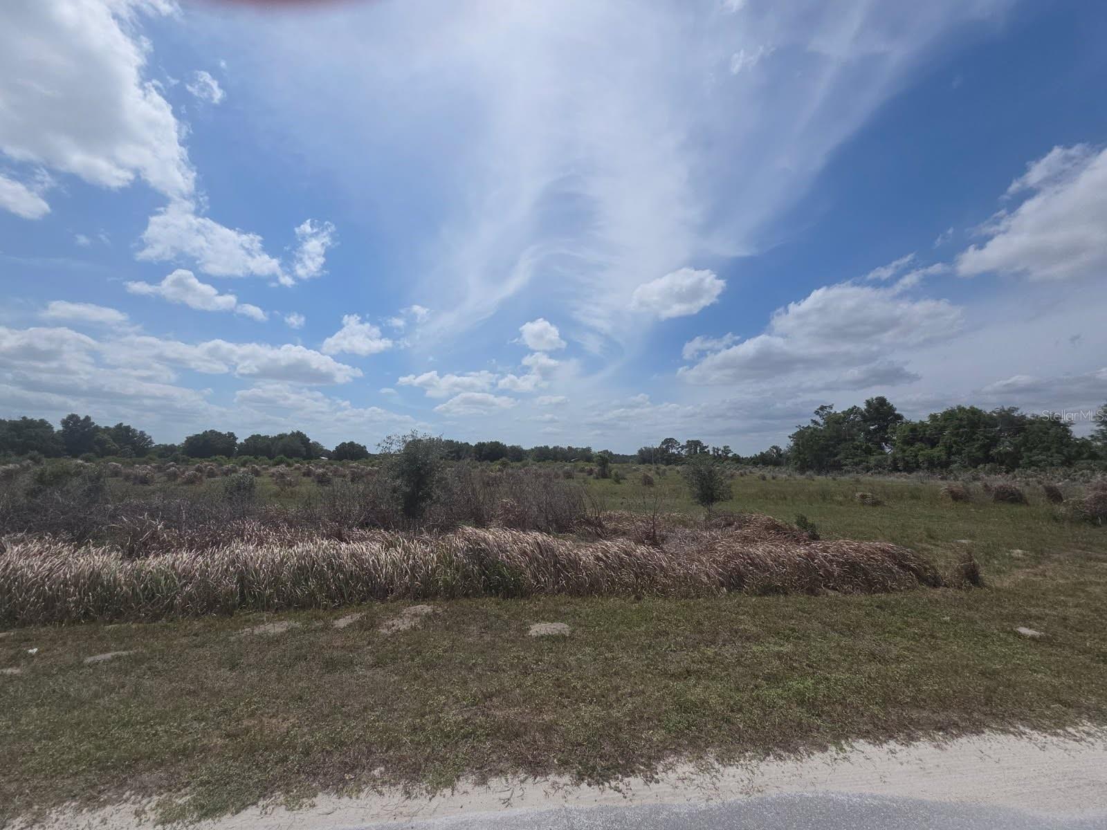 0 0 ARTIFACT DR, ZEPHYRHILLS, FL — photo 3