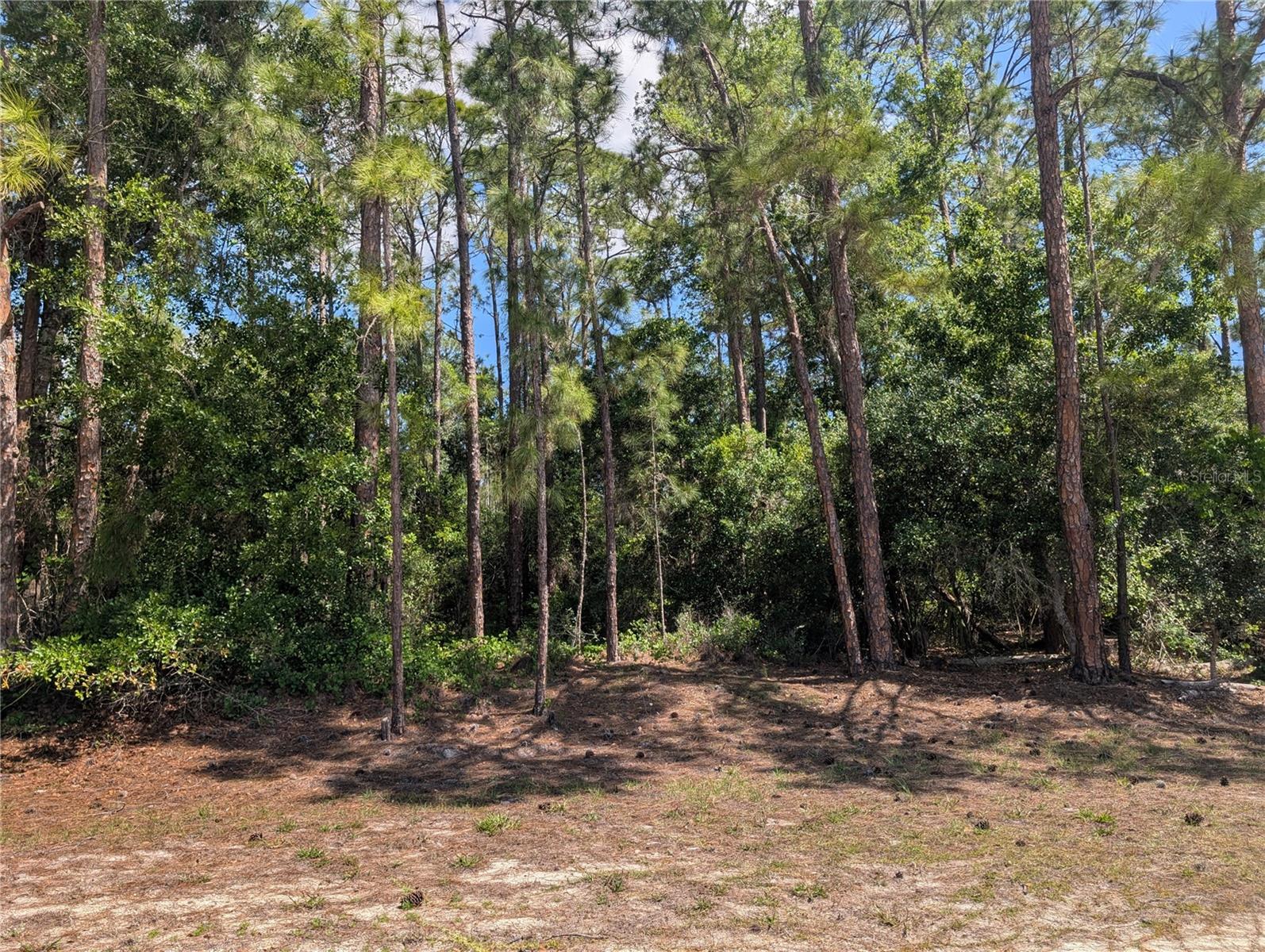 1114 PLUMOSA DR, INDIAN LAKE ESTATES, FL
