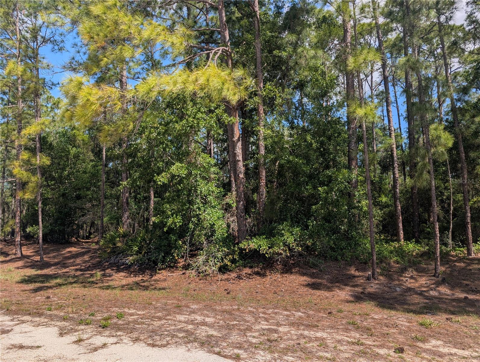 1114 PLUMOSA DR, INDIAN LAKE ESTATES, FL — photo 2