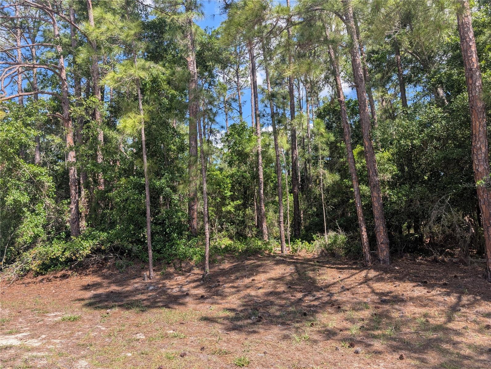 1114 PLUMOSA DR, INDIAN LAKE ESTATES, FL — photo 4