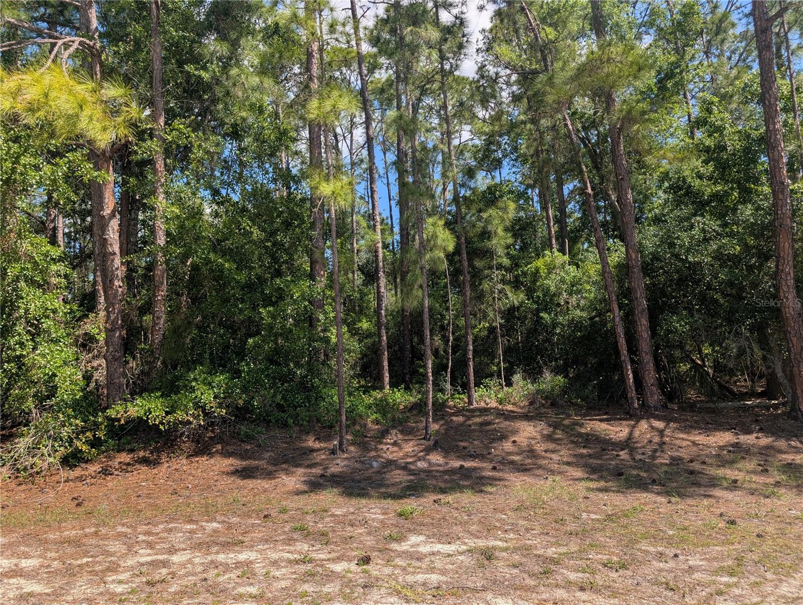 1114 PLUMOSA DR, INDIAN LAKE ESTATES, FL — photo 6
