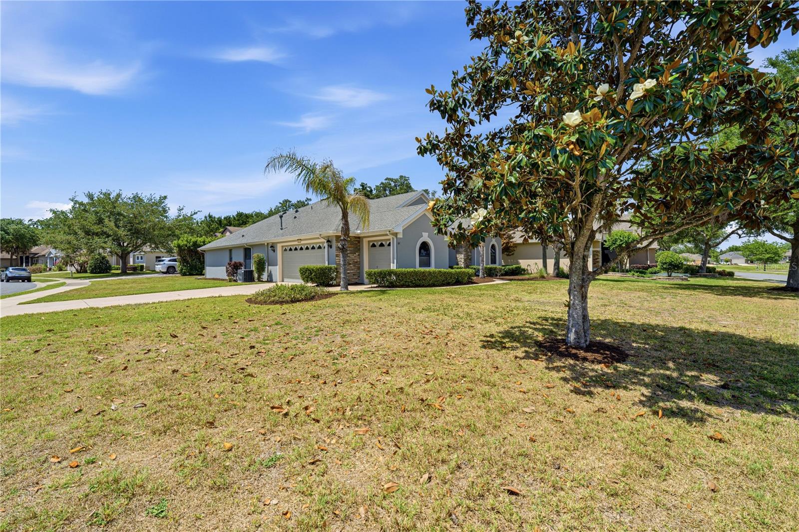 8061 WATERBURY WAY, MOUNT DORA, FL — photo 7