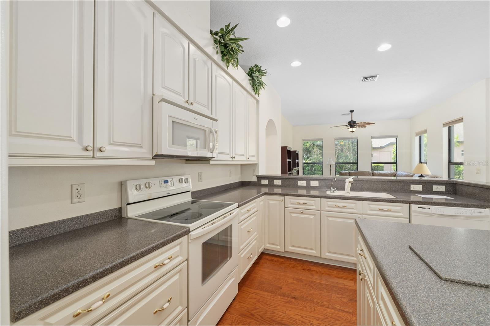 8061 WATERBURY WAY, MOUNT DORA, FL — photo 29