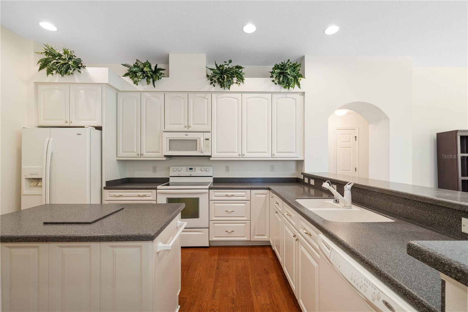 8061 WATERBURY WAY, MOUNT DORA, FL — photo 33