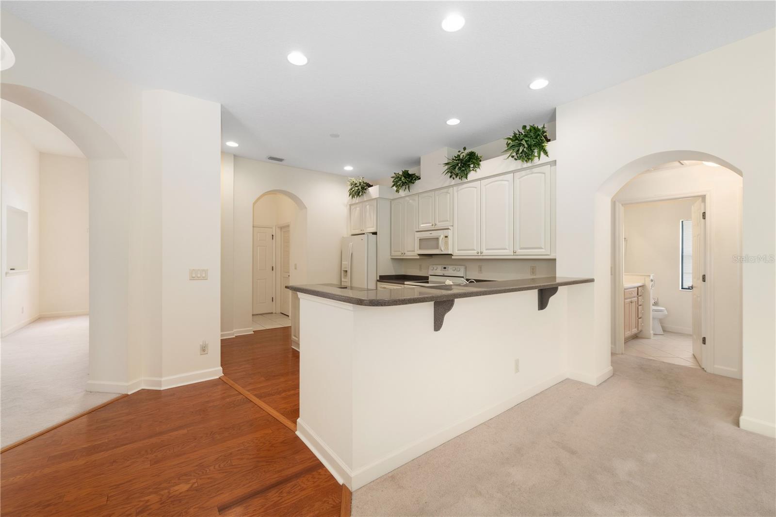 8061 WATERBURY WAY, MOUNT DORA, FL — photo 37