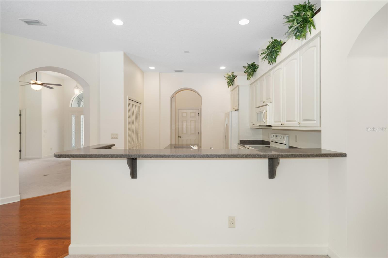 8061 WATERBURY WAY, MOUNT DORA, FL — photo 40