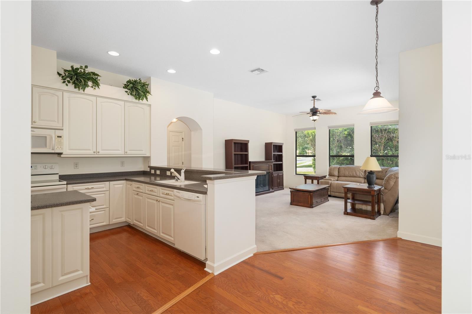 8061 WATERBURY WAY, MOUNT DORA, FL — photo 41