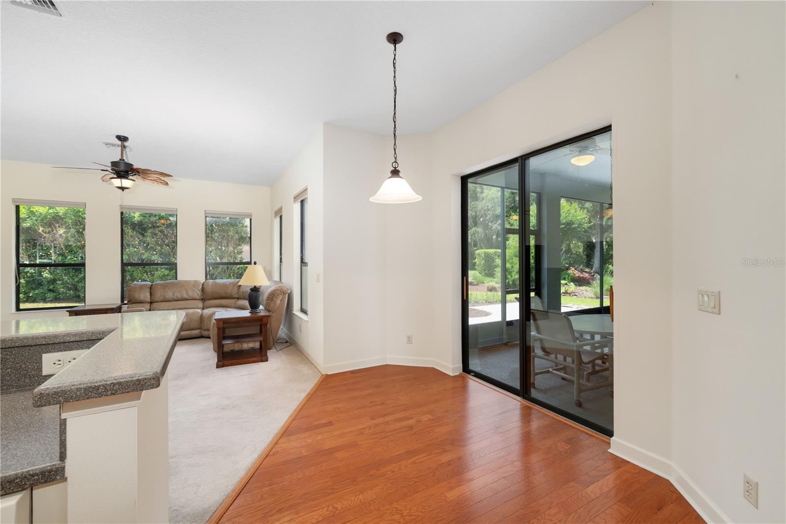 8061 WATERBURY WAY, MOUNT DORA, FL — photo 43