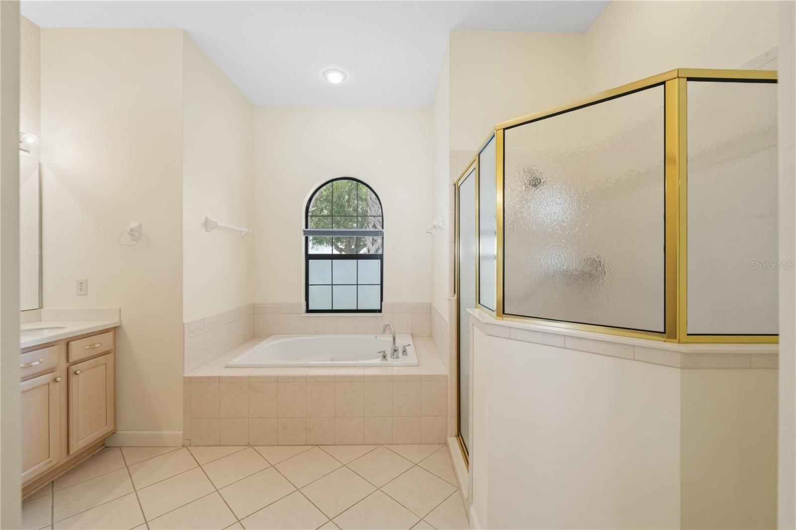 8061 WATERBURY WAY, MOUNT DORA, FL — photo 58