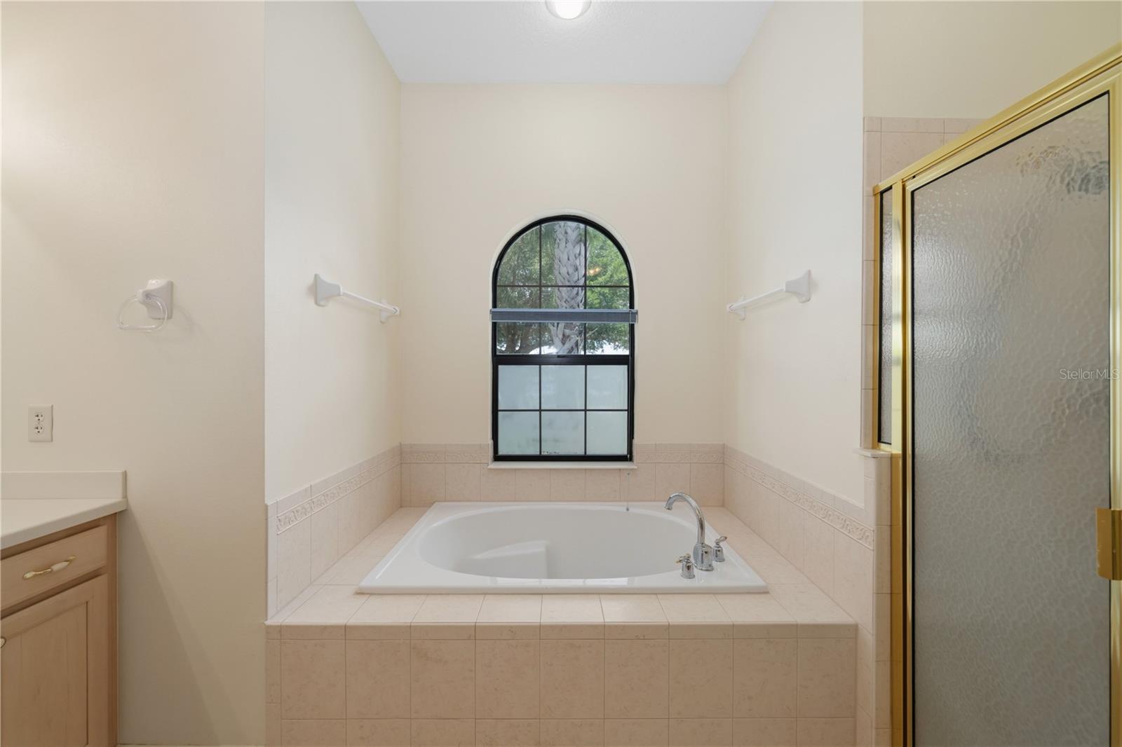 8061 WATERBURY WAY, MOUNT DORA, FL — photo 61