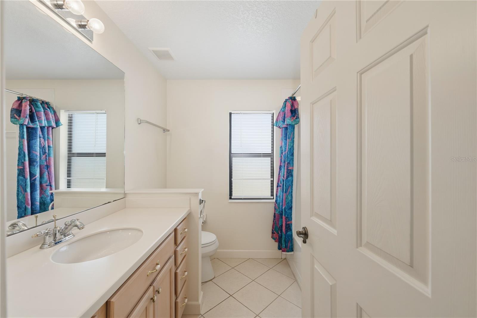 8061 WATERBURY WAY, MOUNT DORA, FL — photo 72