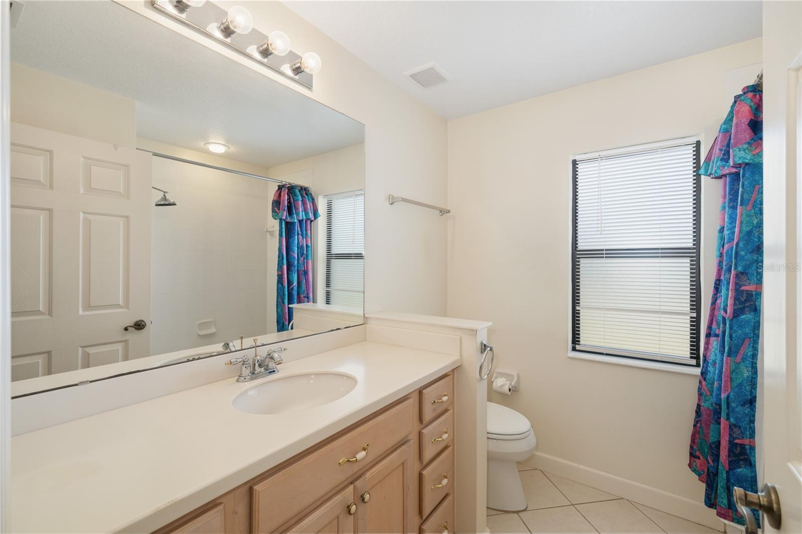 8061 WATERBURY WAY, MOUNT DORA, FL — photo 74
