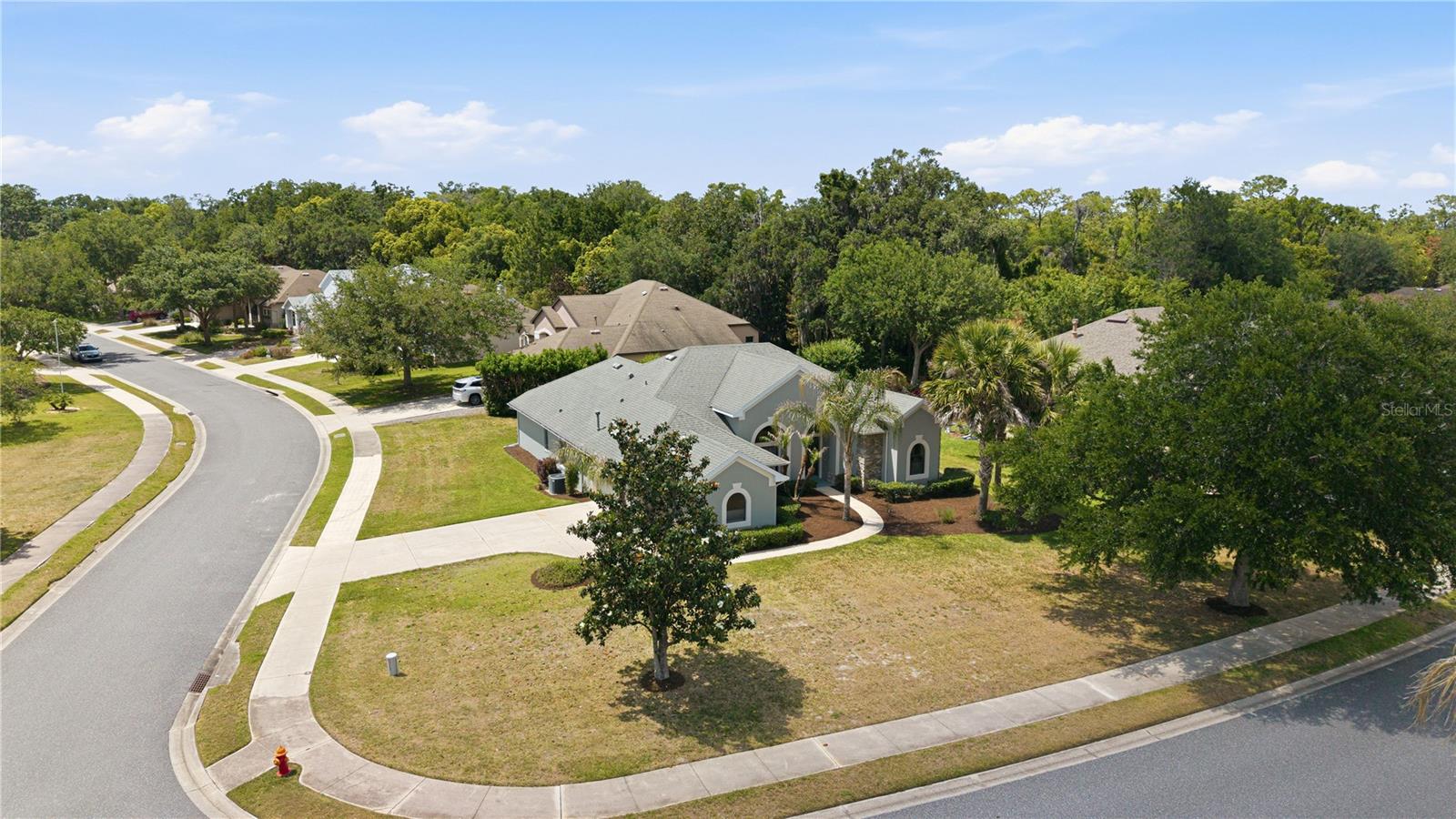 8061 WATERBURY WAY, MOUNT DORA, FL — photo 93