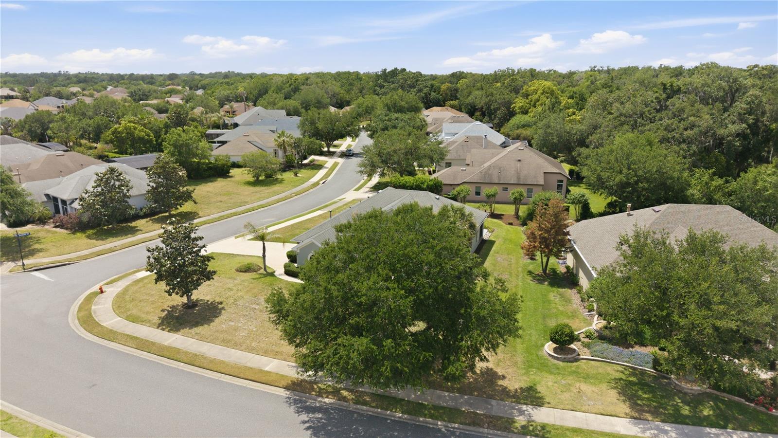 8061 WATERBURY WAY, MOUNT DORA, FL — photo 98