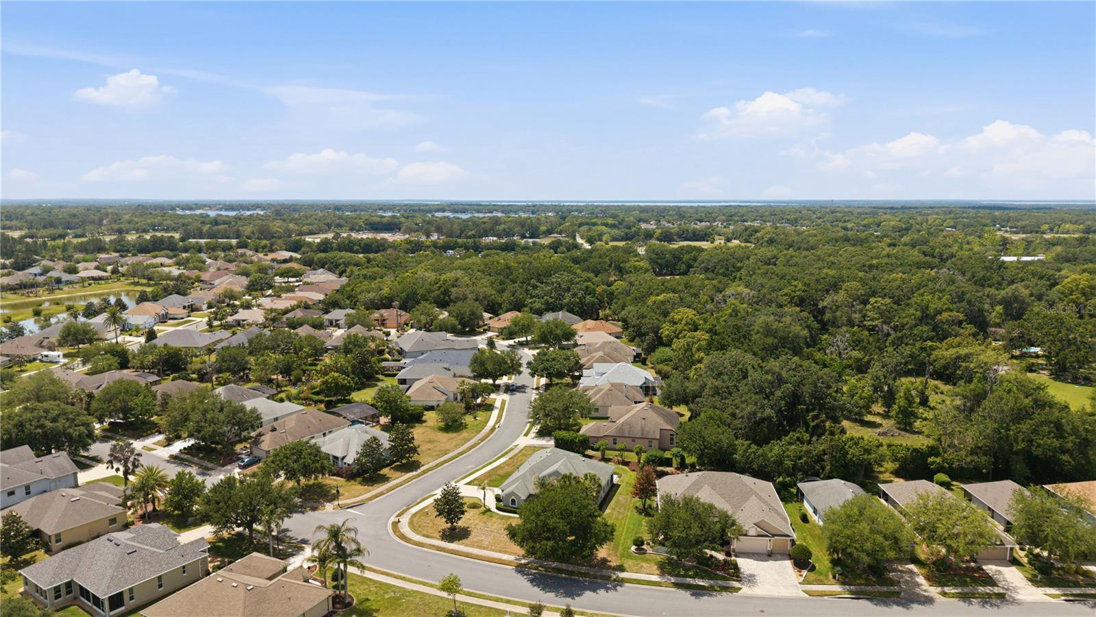 8061 WATERBURY WAY, MOUNT DORA, FL — photo 108