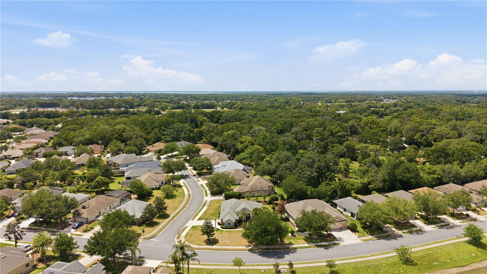 8061 WATERBURY WAY, MOUNT DORA, FL — photo 110