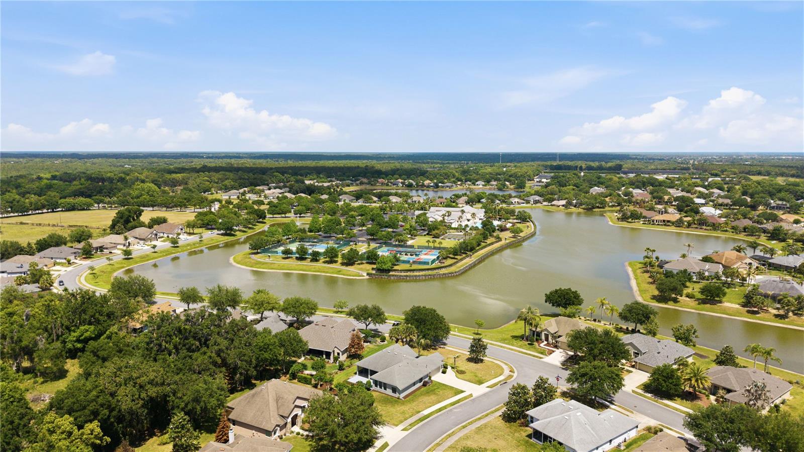 8061 WATERBURY WAY, MOUNT DORA, FL — photo 113