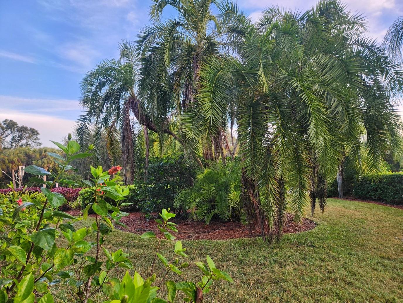 4442 CORSO VENETIA BLVD #A14, VENICE, FL — photo 8