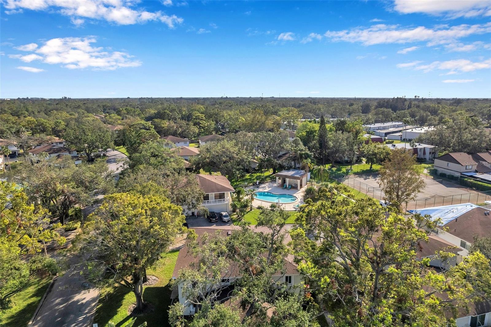 2937 BOUGH AVE #D, CLEARWATER, FL — photo 37