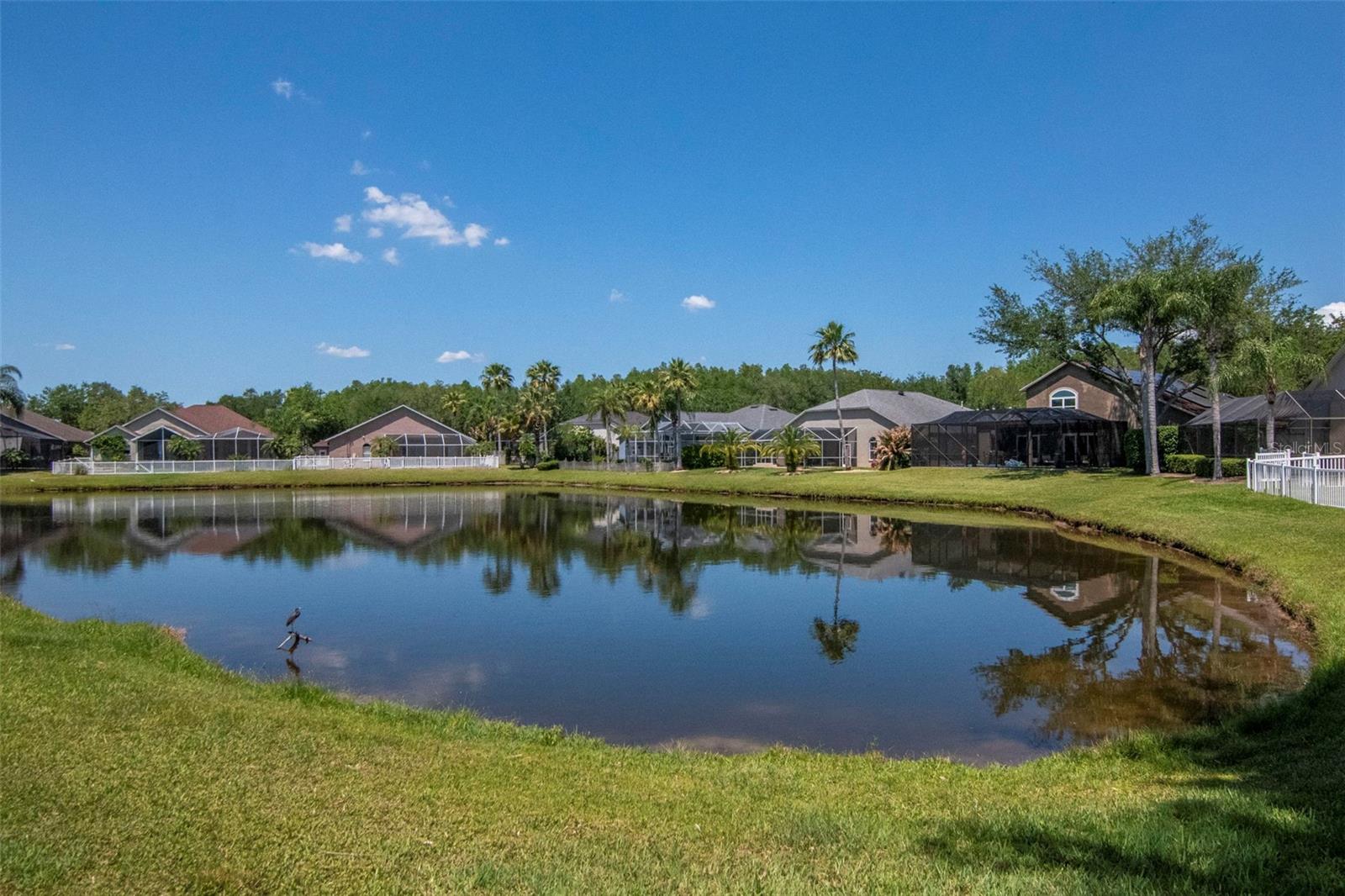 19103 WIND DANCER ST, LUTZ, FL — photo 39