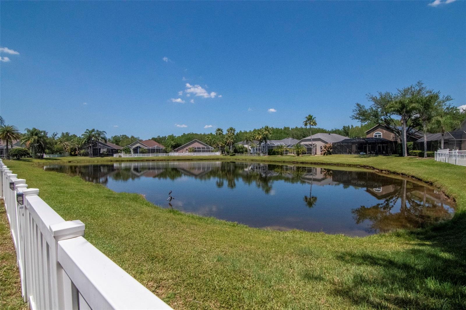 19103 WIND DANCER ST, LUTZ, FL — photo 41