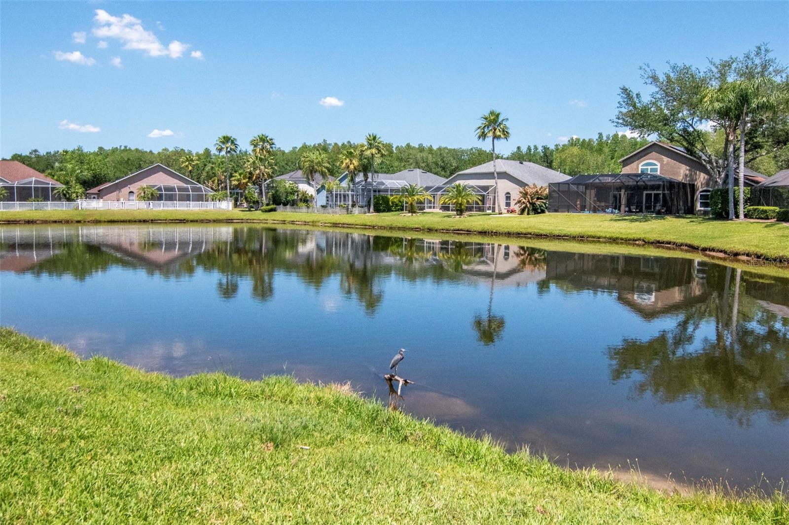 19103 WIND DANCER ST, LUTZ, FL — photo 42