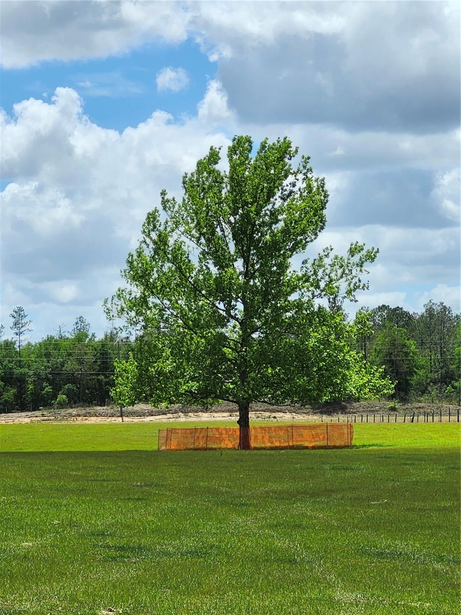 0 CHRISTIAN RD #Lot 1, DADE CITY, FL — photo 6