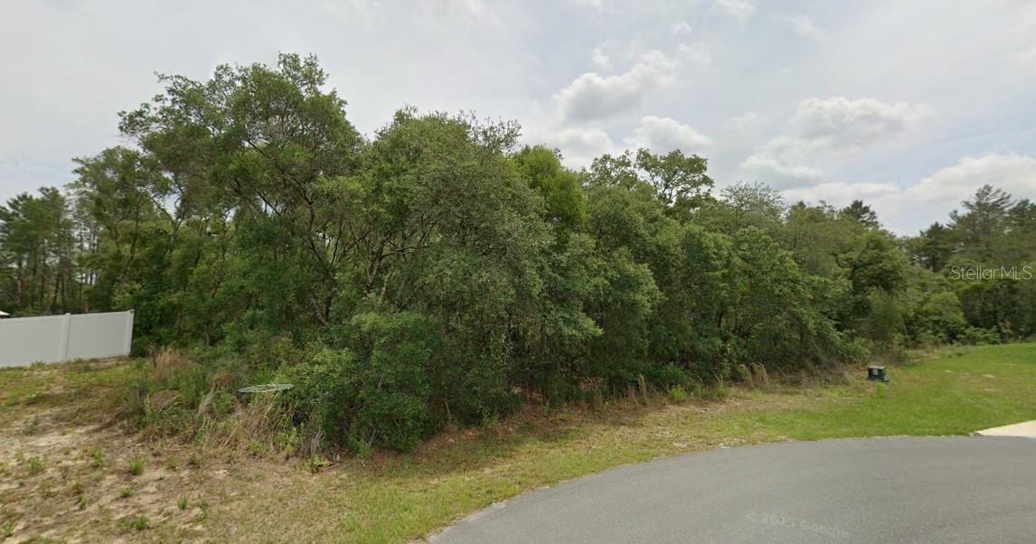 0 SW 33 AVENUE RD #Lot 43, OCALA, FL — photo 2