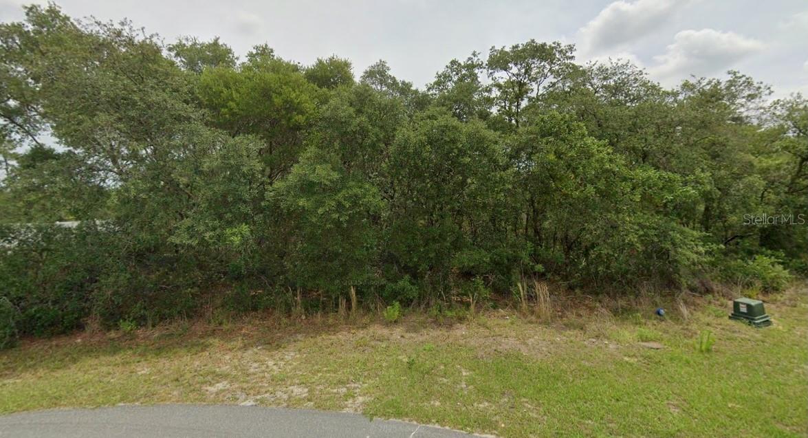 0 SW 33 AVENUE RD #Lot 43, OCALA, FL — photo 3
