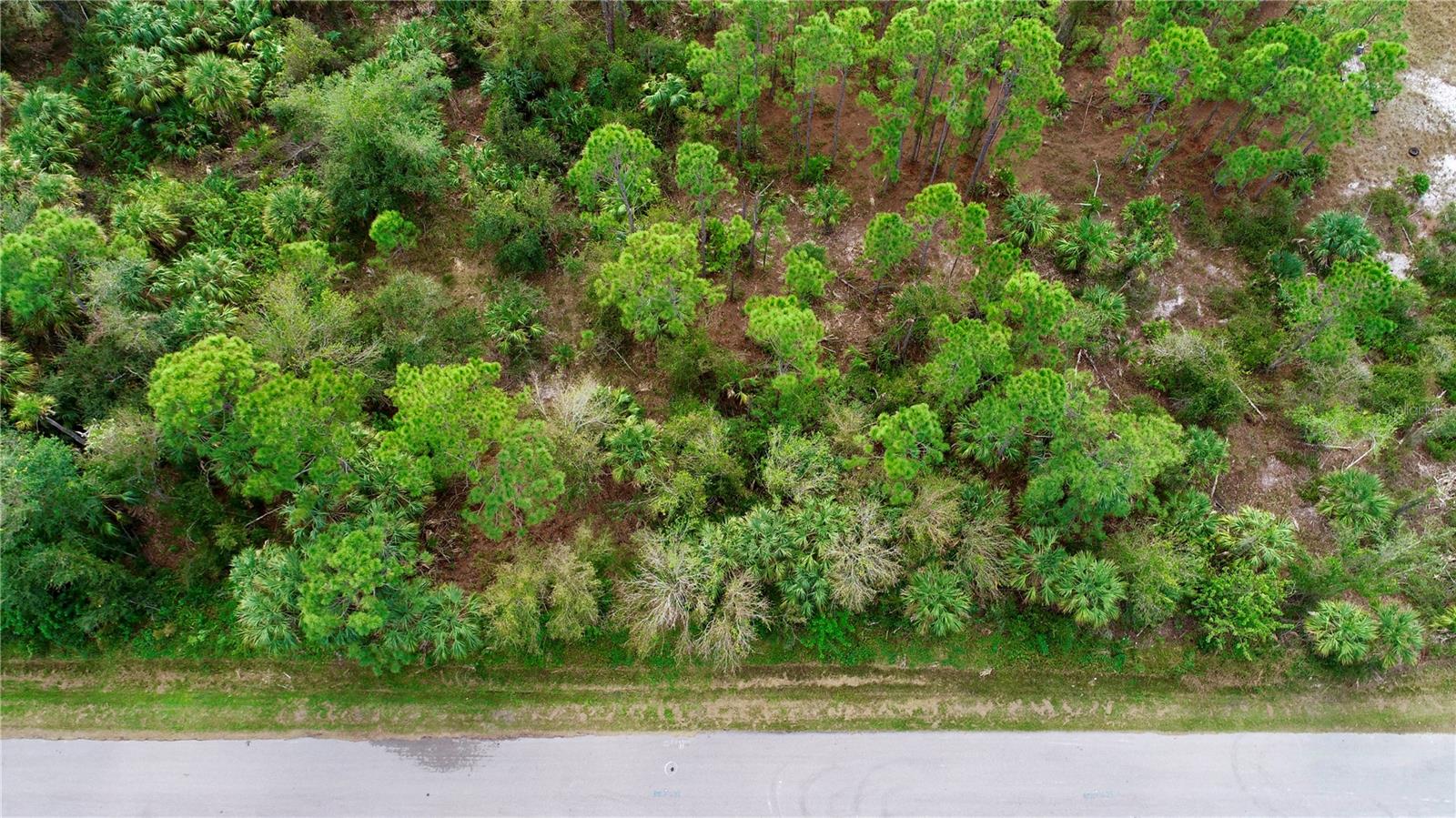 26373 DEER RD, PUNTA GORDA, FL — photo 3