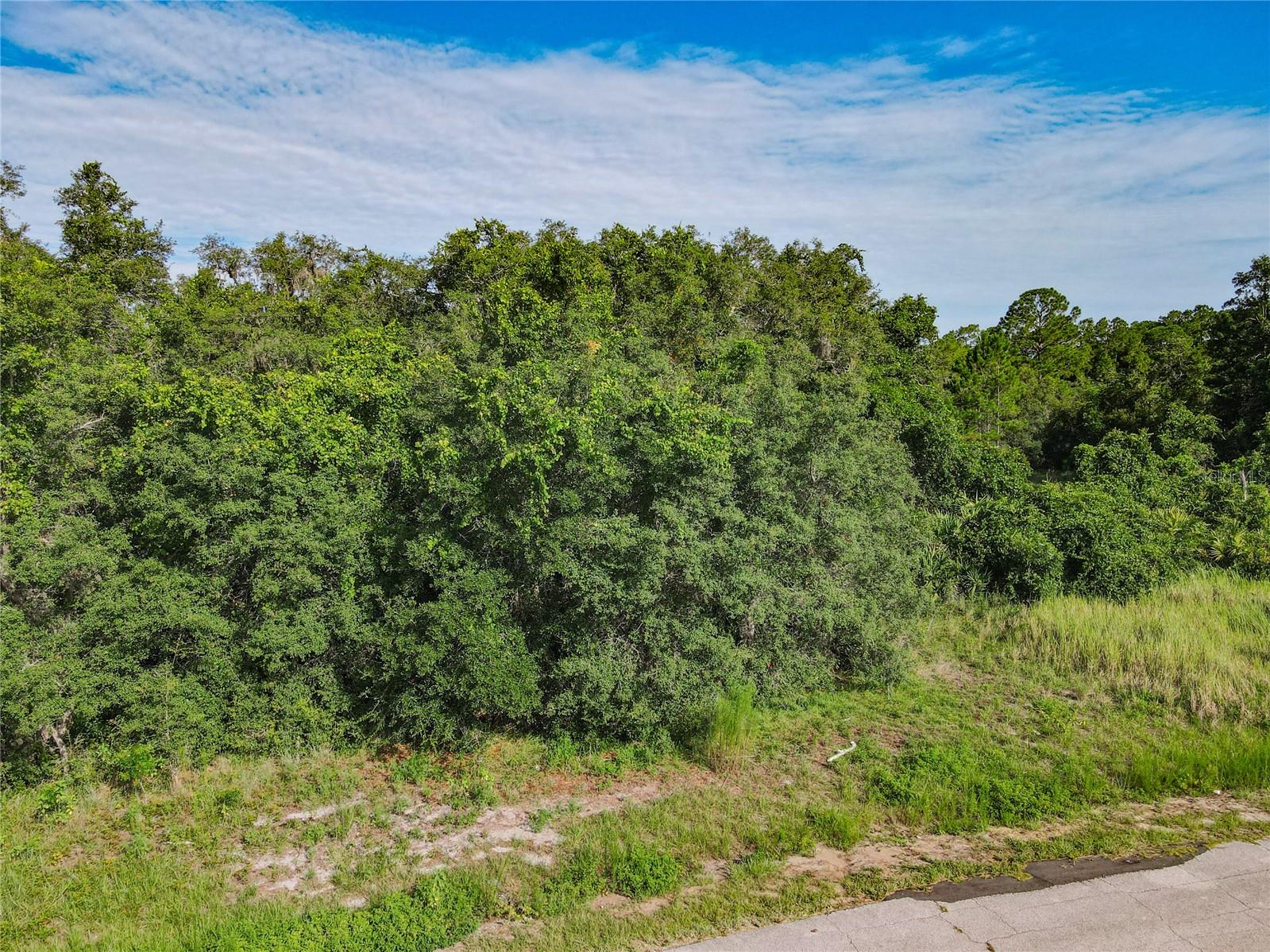 0 HUDSON VALLEY DR, KISSIMMEE, FL — photo 53