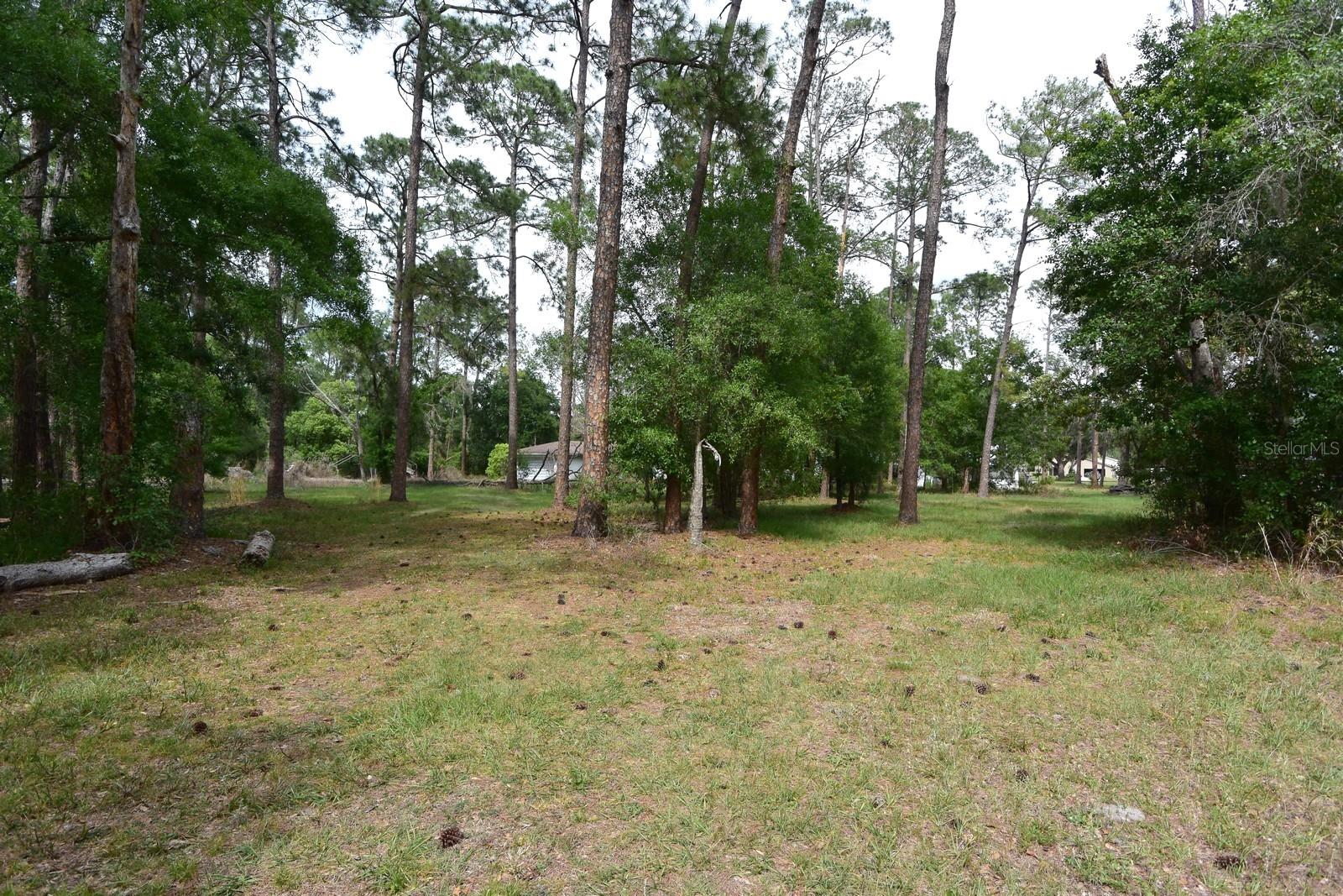 6832 QUAIL HOLLOW BLVD, WESLEY CHAPEL, FL — photo 4