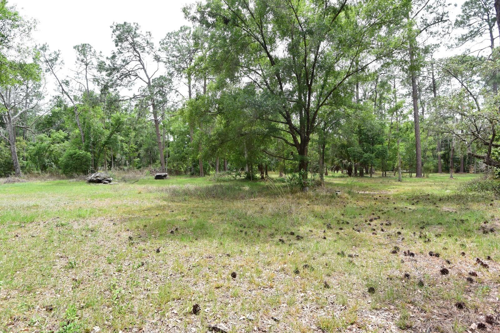 6832 QUAIL HOLLOW BLVD, WESLEY CHAPEL, FL — photo 32