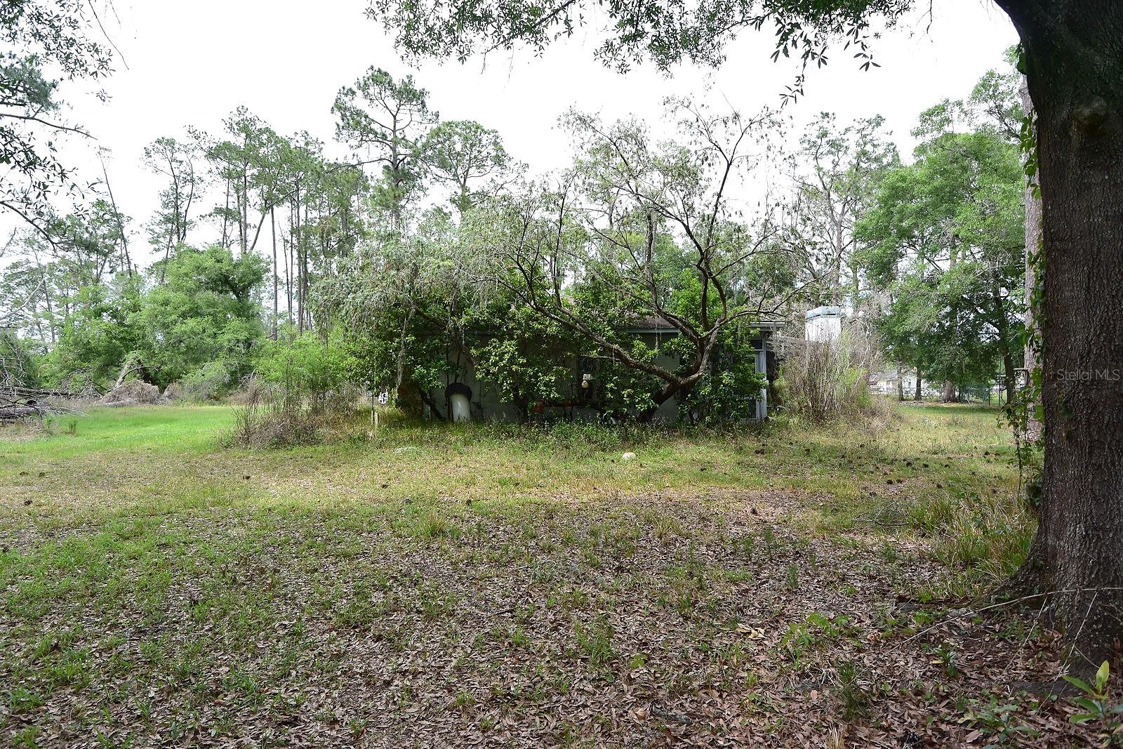 6832 QUAIL HOLLOW BLVD, WESLEY CHAPEL, FL — photo 35