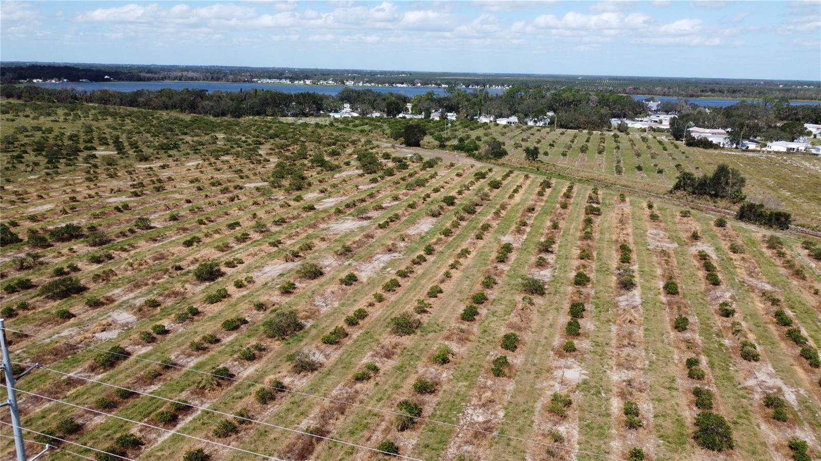 3162 POWER LINE RD, AVON PARK, FL — photo 3