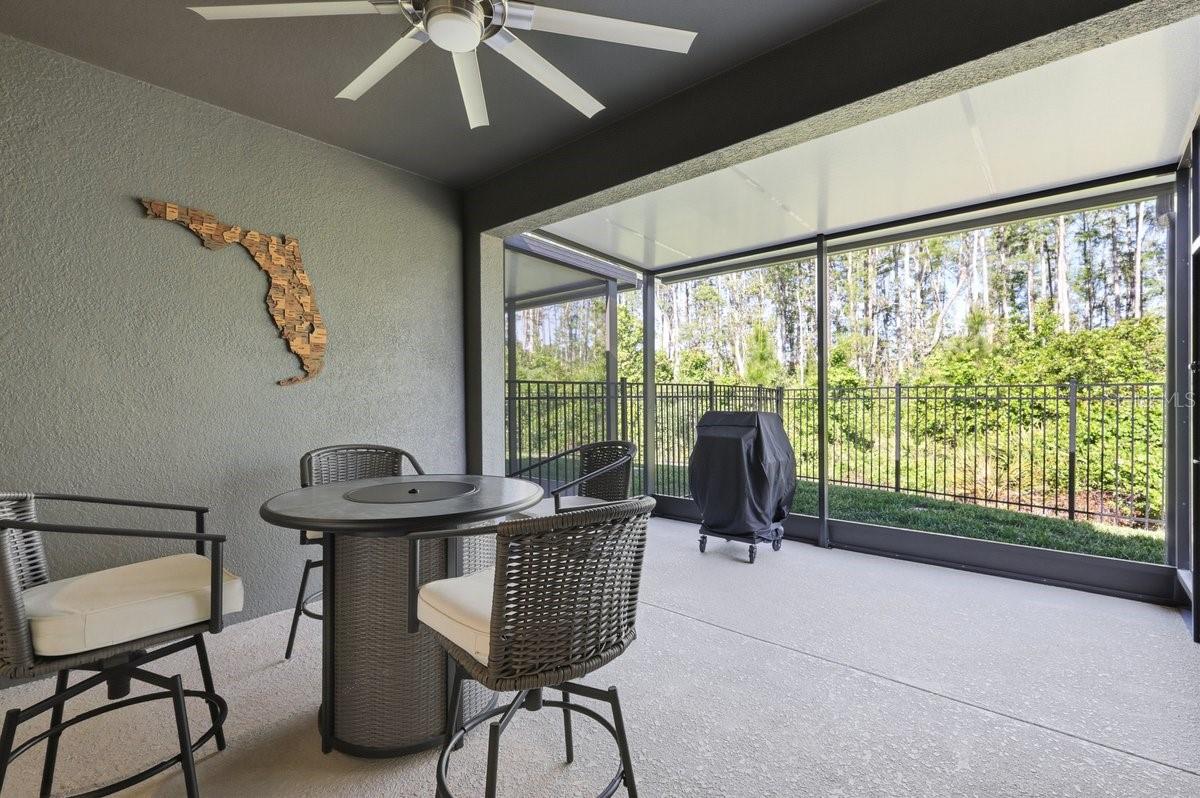 3421 TWIN FLOWER, CLERMONT, FL — photo 62