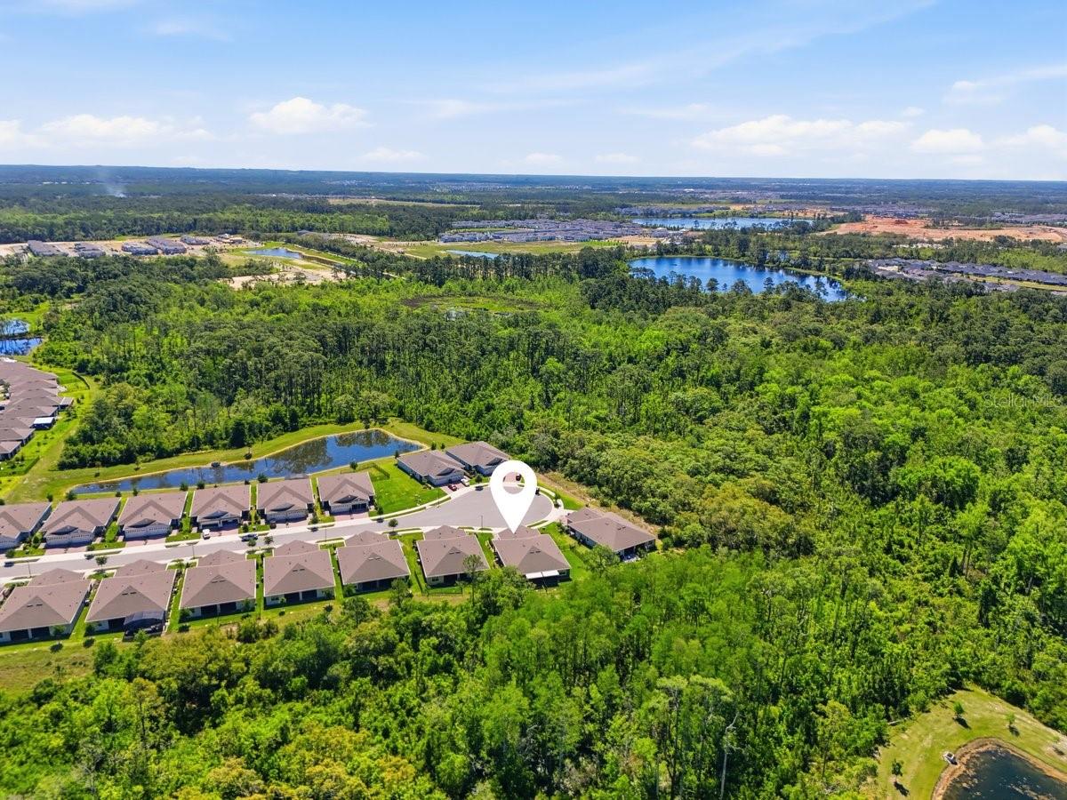 3421 TWIN FLOWER, CLERMONT, FL — photo 69