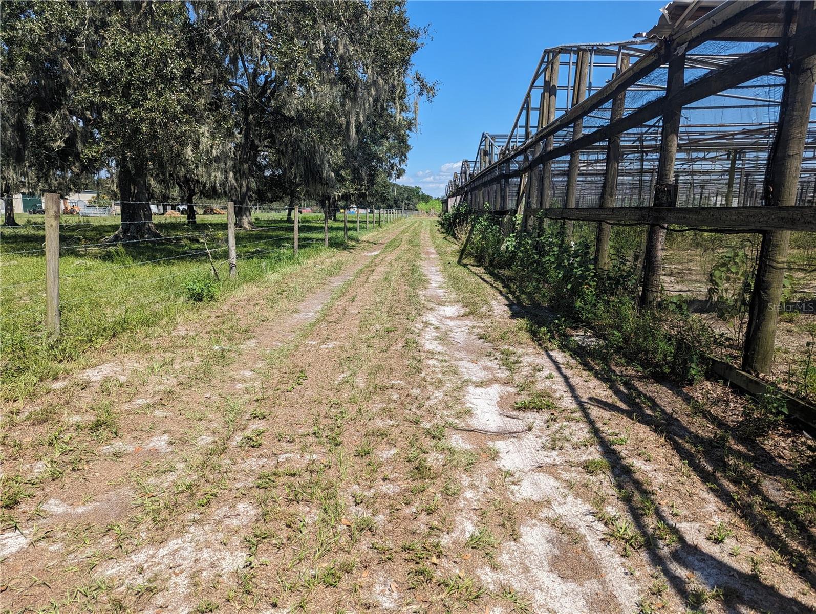 16070 CARLTON LAKE RD, WIMAUMA, FL — photo 8