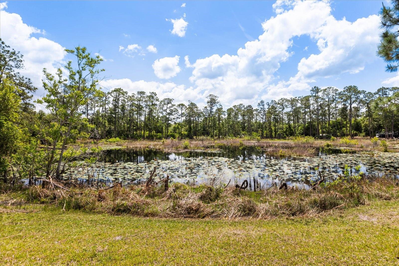 420 VALLEY STREAM DR, GENEVA, FL — photo 50