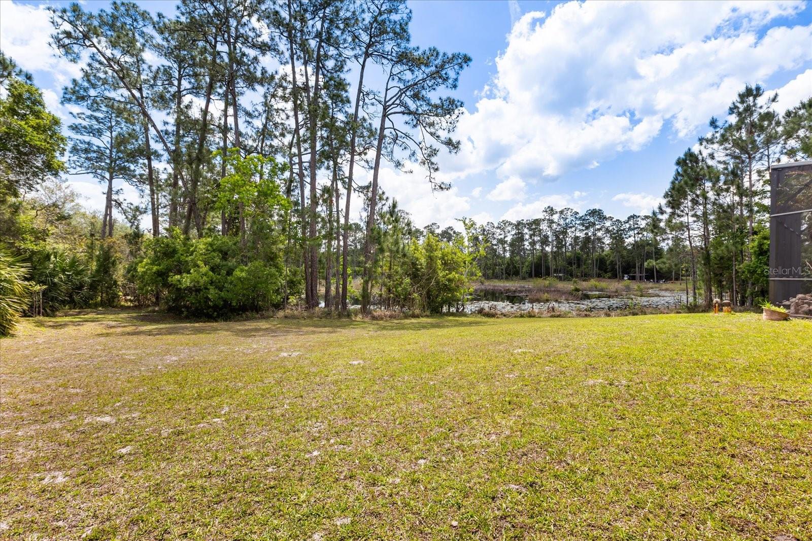 420 VALLEY STREAM DR, GENEVA, FL — photo 51