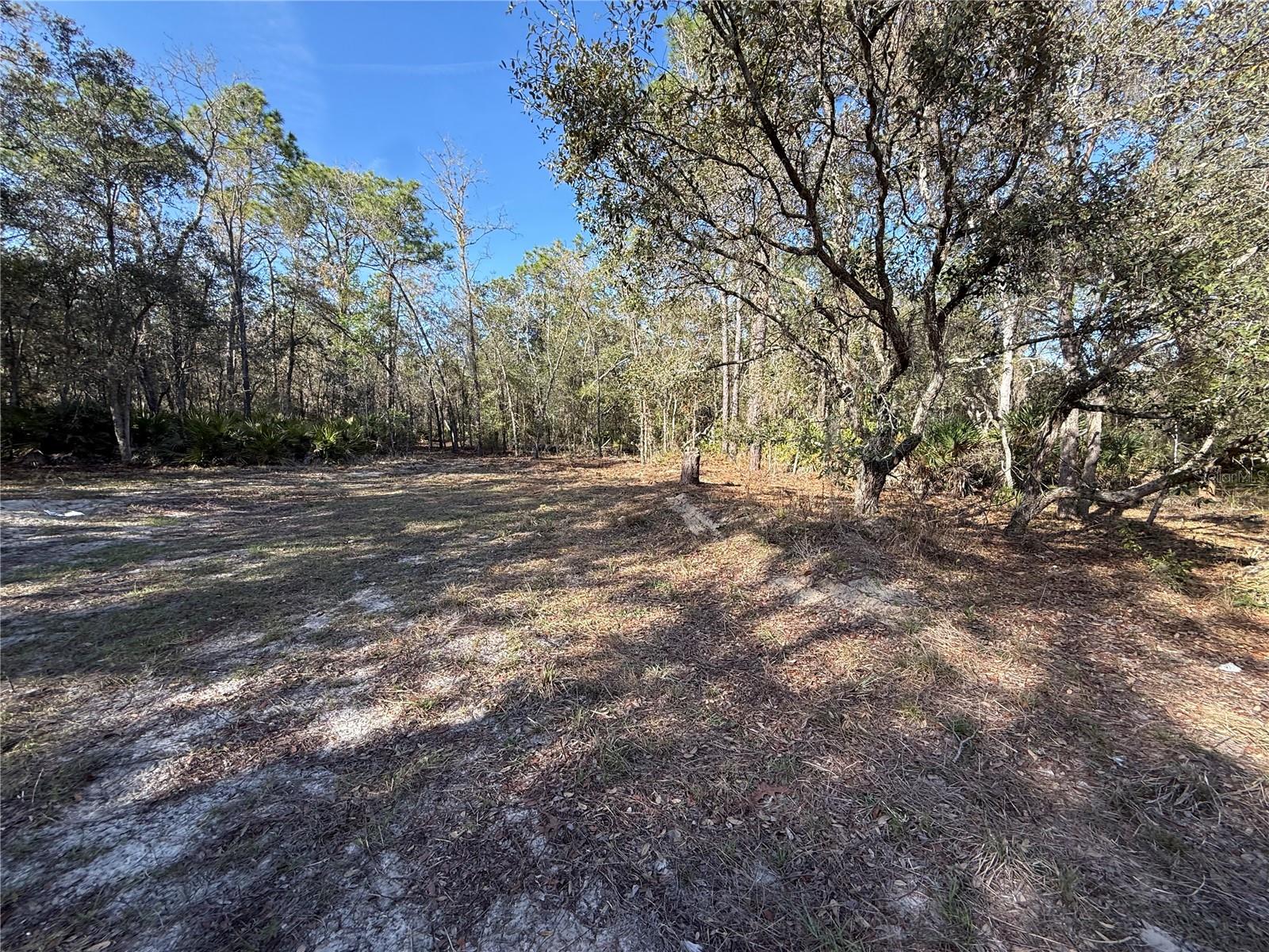 6479 W HOLIDAY ST, HOMOSASSA, FL — photo 4