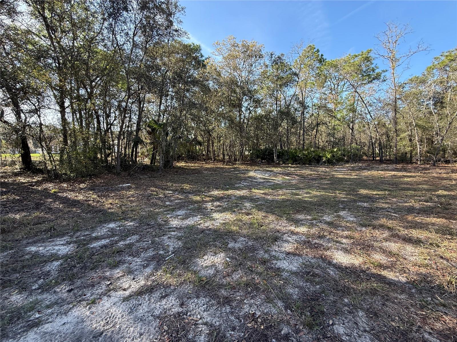 6479 W HOLIDAY ST, HOMOSASSA, FL — photo 5