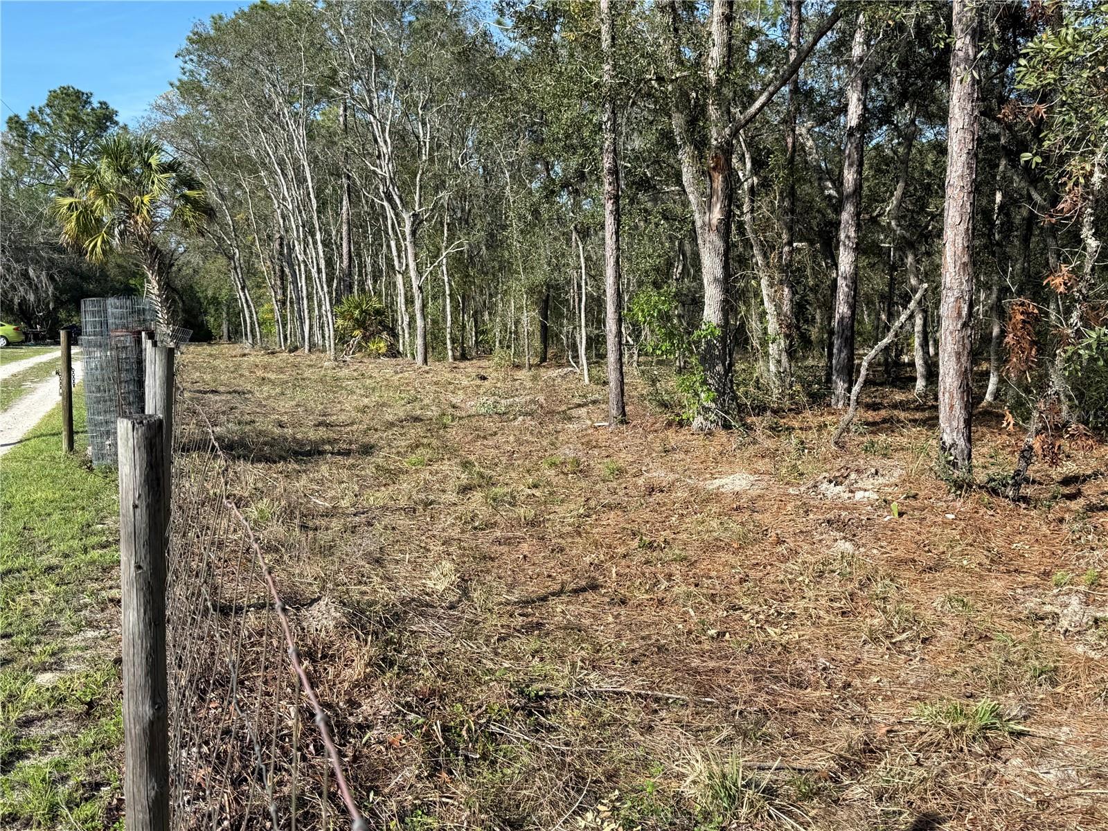 6479 W HOLIDAY ST, HOMOSASSA, FL — photo 8