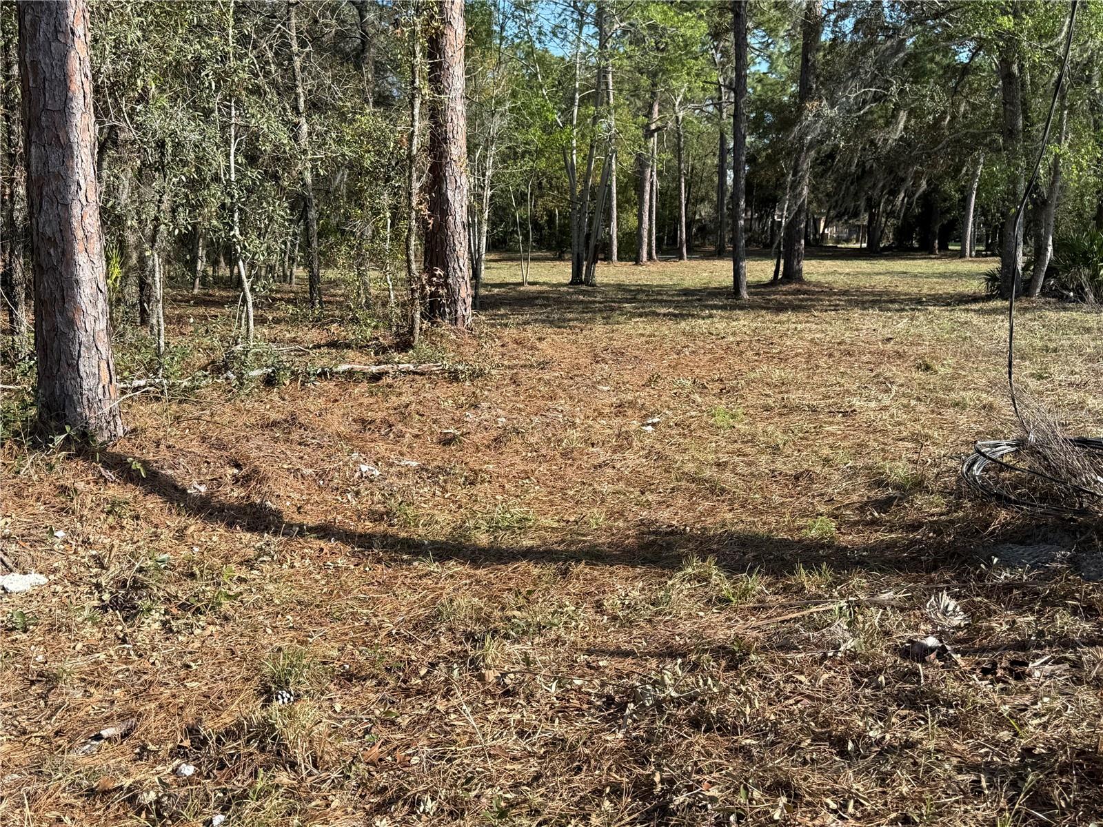 6479 W HOLIDAY ST, HOMOSASSA, FL — photo 9