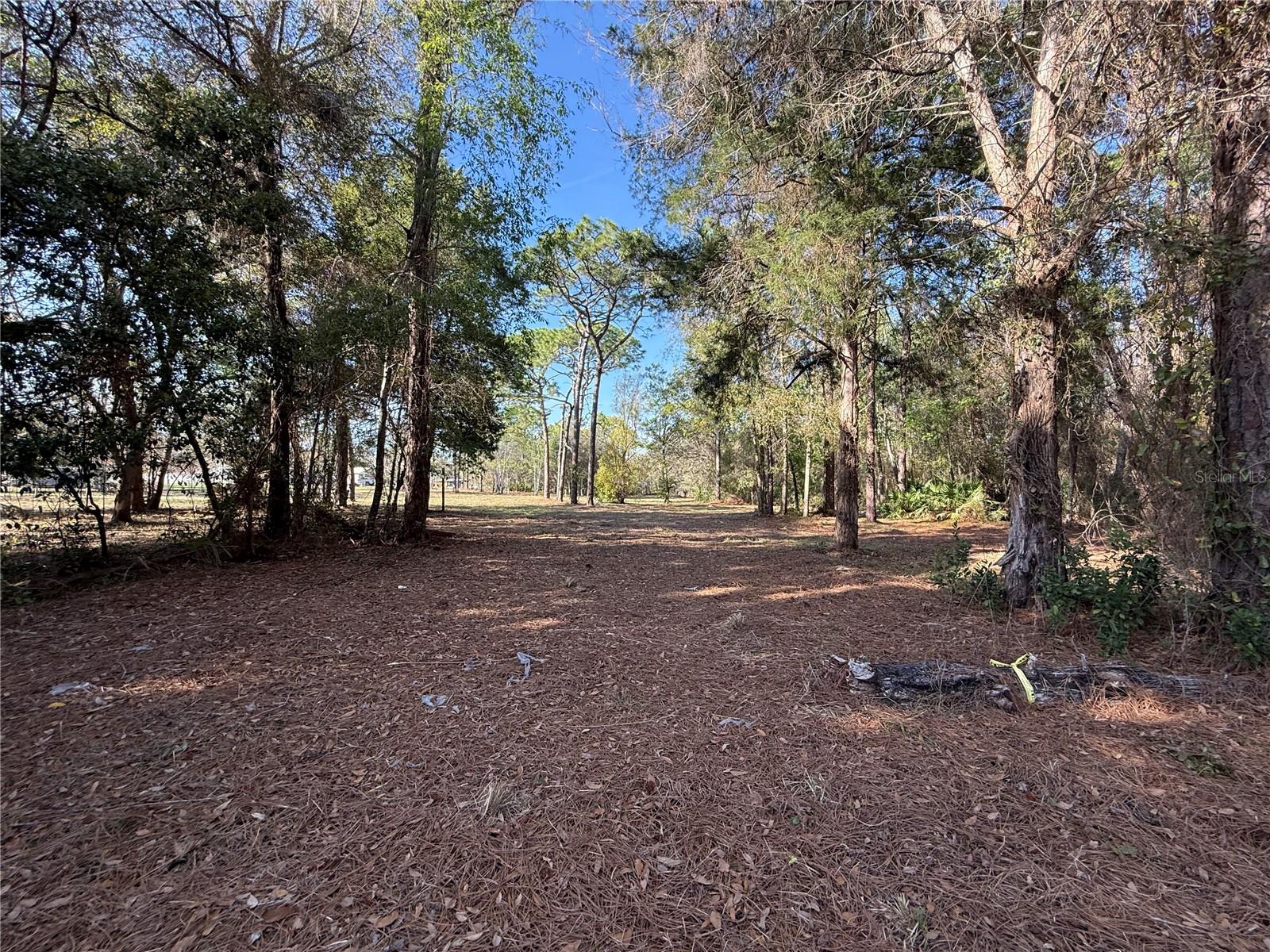 6479 W HOLIDAY ST, HOMOSASSA, FL — photo 10
