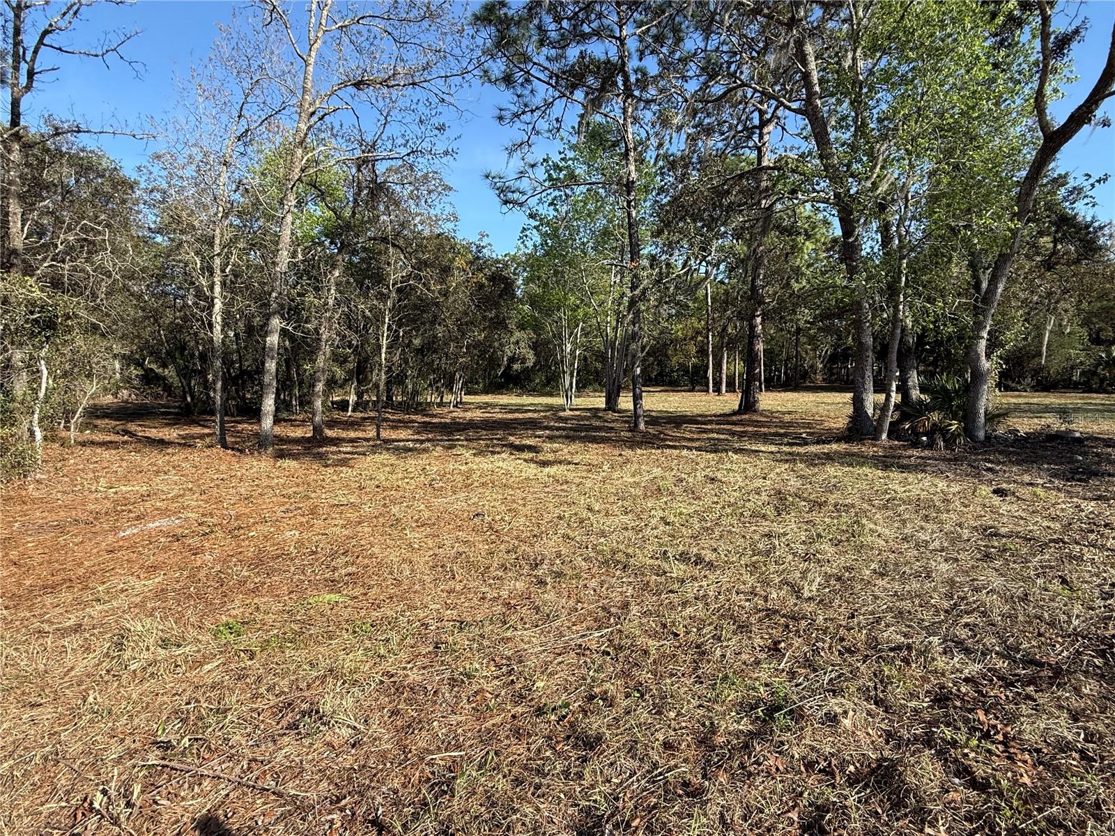 6479 W HOLIDAY ST, HOMOSASSA, FL — photo 11