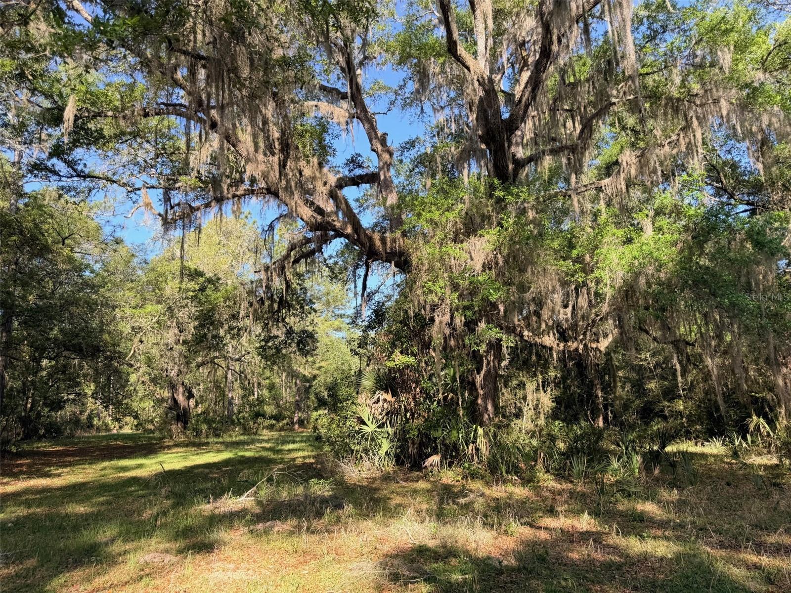 6650 NW 110TH AVE, CHIEFLAND, FL — photo 10