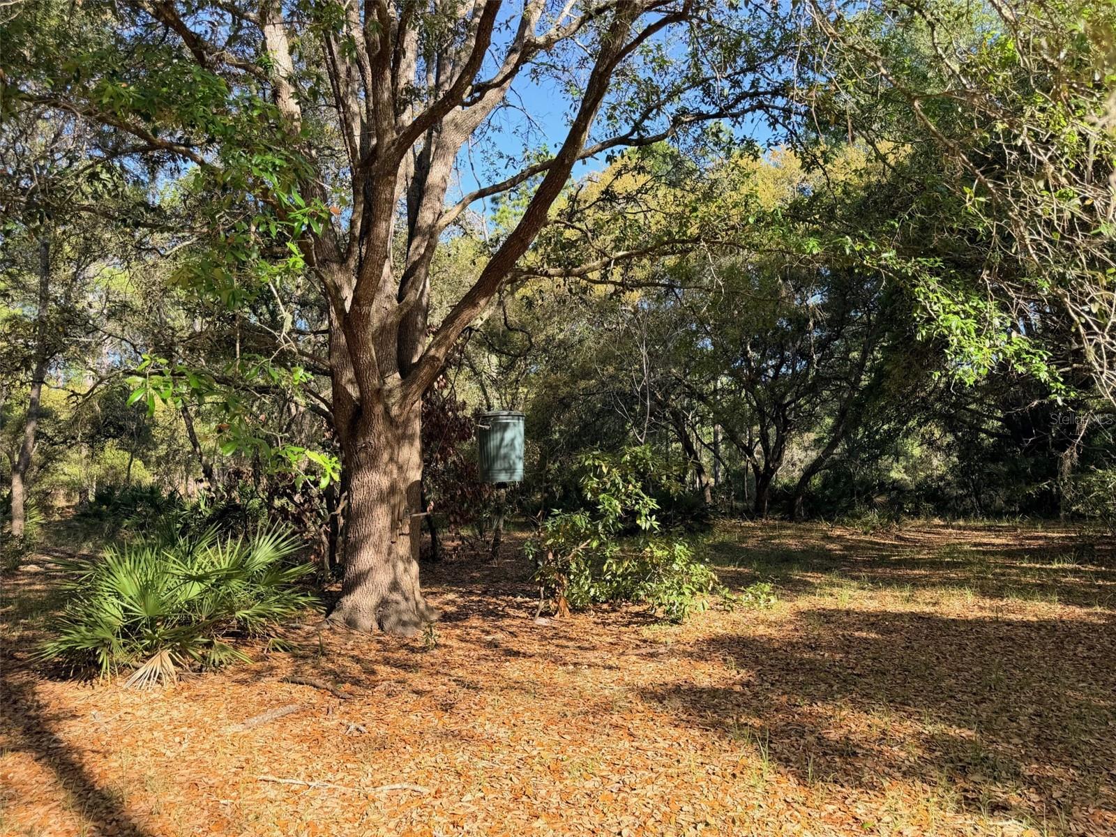 6650 NW 110TH AVE, CHIEFLAND, FL — photo 11