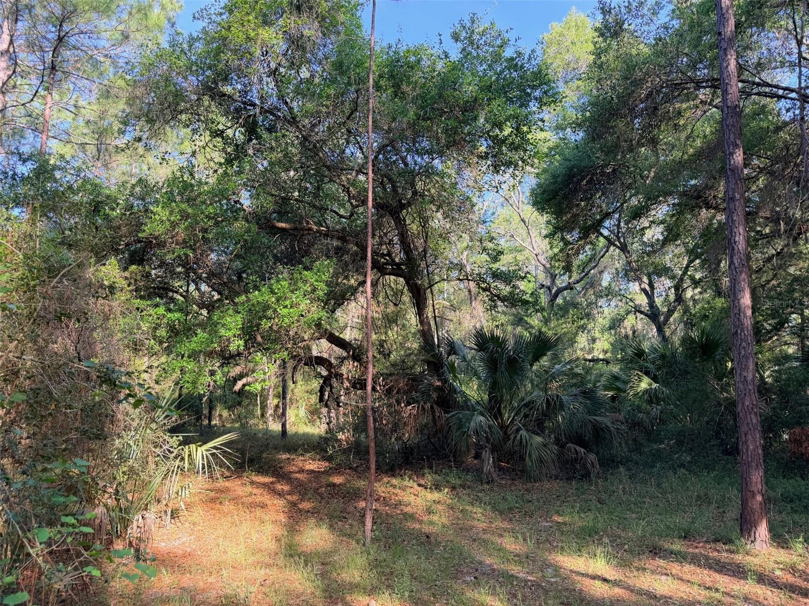6650 NW 110TH AVE, CHIEFLAND, FL — photo 15